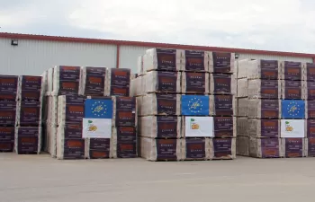 La innovación llega al sector de los ladrillos cara vista de la mano del vidrio reciclado