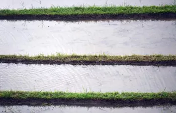 Europa propone nuevas normas para estimular la reutilización de agua para riego agrícola