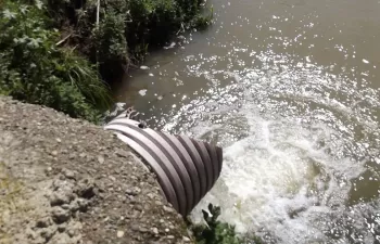 Fertilizantes y aguas residuales tratadas, principales fuentes de nitratos en las aguas vertientes a Doñana