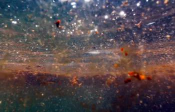 Un nuevo sistema inteligente de sensores permite detectar vertidos tóxicos en cualquier medio acuático