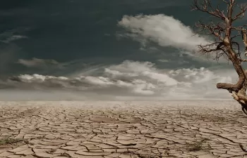 El impacto del cambio climático ya afecta a la salud en todos los países del mundo