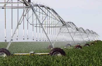 Autorizada la suscripción de un Convenio entre MAPAMA y SEIASA para la modernización de regadíos