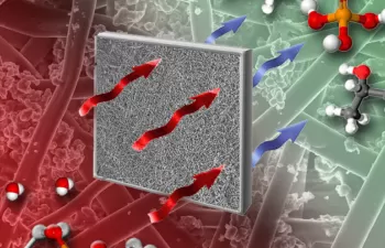 Desarrollan nuevos filtros que captan y detoxifican diferentes tipos de gases nocivos
