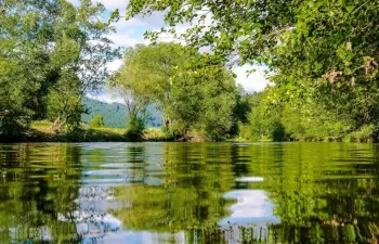 Una tesis doctoral corrobora que la central nuclear de Trillo no impacta en el ecosistema del río Tajo