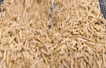 AVEBIOM y APROPELLETS reclaman un mayor apoyo institucional al sector de la biomasa y el pellet