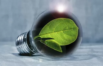 ECOLUM se consolida en el canal profesional como entidad de referencia en la gestión de RAEE