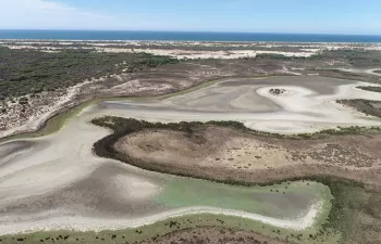 Vista aérea de la laguna de Santa Olalla el 2 de septiembre. Fuente: Banco de imágenes de EBD - CSIC