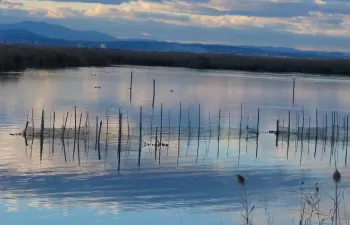Laguna en la Albufera