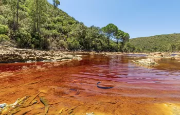 Aguas rojizas del río Tinto. Luis becerra / Shutterstock