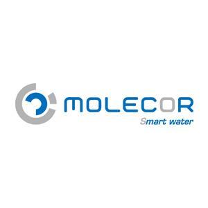 Logo Molecor
