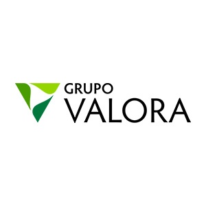Grupo Valora